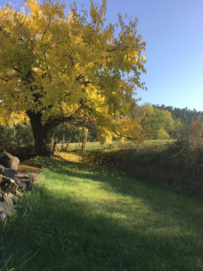 Le Chatel En Beaujolais Valsonne Kültér fotó